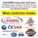 partneri-2019.jpg